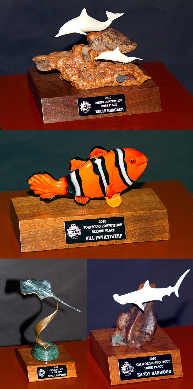 custom fish trophy bases